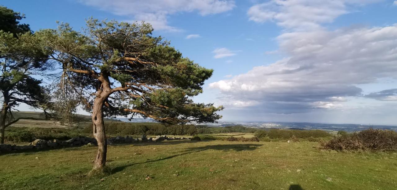 Furzeleigh Mill Inn Buckfastleigh Εξωτερικό φωτογραφία